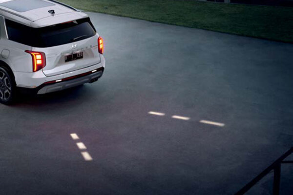 New PALISADE