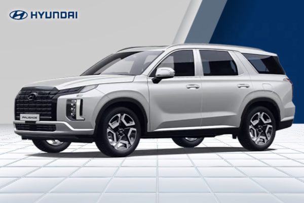 New PALISADE